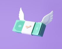 money with wings