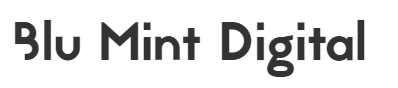Blue Mint Digital logo