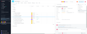 Asana interface