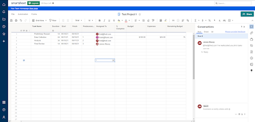 Smartsheet interface
