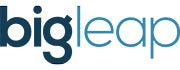 big leap logo