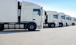 Large white trucks parked in a row