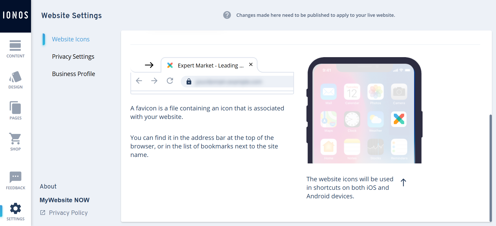 IONOS website settings tab