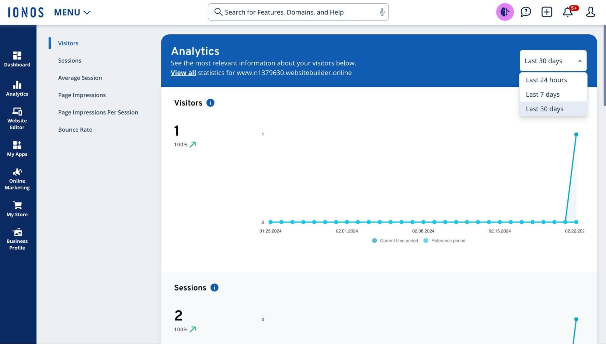 IONOS site analytics features