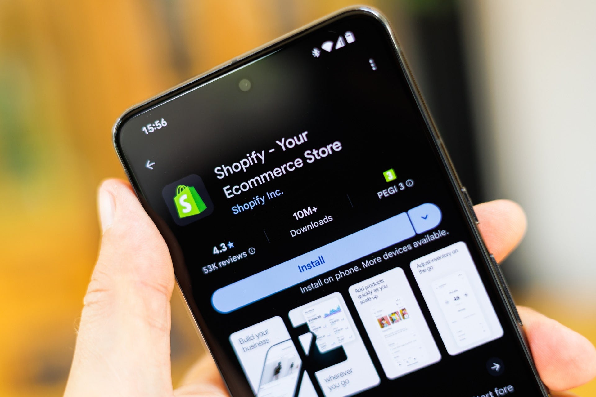 Shopify website builder pricing